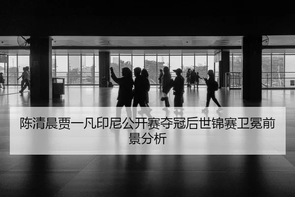 chen-qing-chen-jia-yi-fan-yin-ni-gong-kai-sai-duo-guan-hou-shi-jin-sai-wei-mian-qian-jing-fen-xi-2-430.jpg